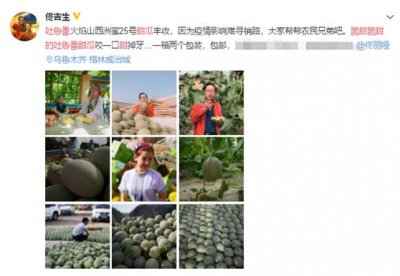 ​高价卖瓜引众怒，佟丽娅父亲亲自怒怼回应，网友直呼你不配