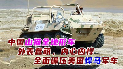 ​中国山猫全地形军车，外表蠢萌，内心凶悍，碾压悍马军车