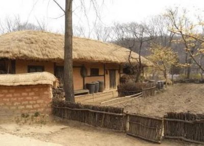 ​原来“狗屎运”就是这样来的