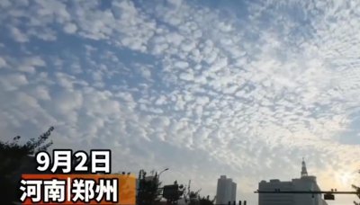 ​又是罕见云！河南郑州出现“鱼鳞云”，又是什么征兆，天气大变？