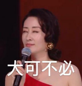 ​刘敏涛表情包合集-你算个什么东西