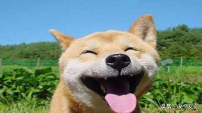 ​几个过年的搞笑段子，看完你不笑算你狠