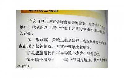 ​爱重要还是合适重要(爱和合适哪个重要)