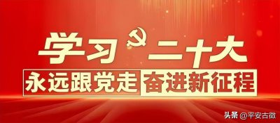 ​学习二十大精神不负使命 逐梦未来-冯原派出所所长高永明