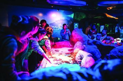 ​与鲨鱼共眠，探秘长风海洋世界