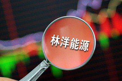 ​林洋能源：行业领头羊，乘风破浪的能源巨人