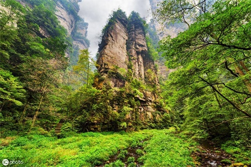 张家界最大的亮点在于优美景色，当地三宝葛根粉、蕨根粉、岩耳