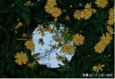 ​“我现在什么都不想搞，只想谈个狗屁浪漫爱情故事。”