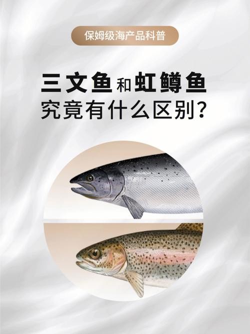 虹鳟鱼有哪些品种（探秘冷水中的贵族）