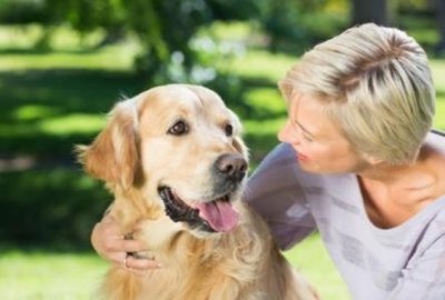 ​东非猎犬有哪些种类东非猎犬有哪些种类