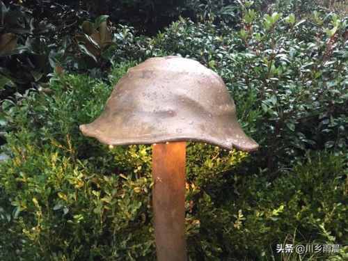 分数的再认识(一)教学设计，分数的再认识华应龙课堂实录-第1张图片-