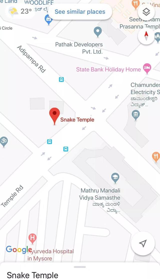 印度五头蛇之谜(印度神秘的蛇文化不止在大街上耍蛇)(3)