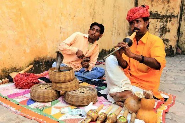 印度五头蛇之谜(印度神秘的蛇文化不止在大街上耍蛇)(10)