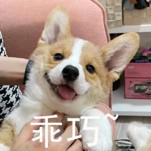 ​哈尔滨这四大车站你知道几个？走哪个比较方便？