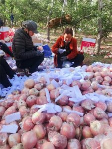 ​从“滞销”到“热销”！山西小伙吴凡：值得感恩铭记的岳阳好人太多