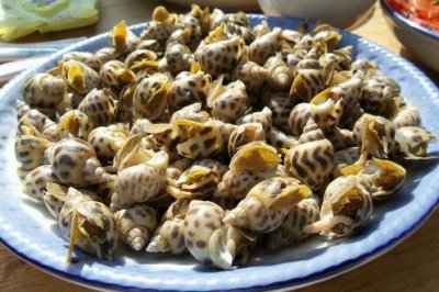 ​花螺蒸多长时间最好吃（分享蒸花螺的最佳时长）