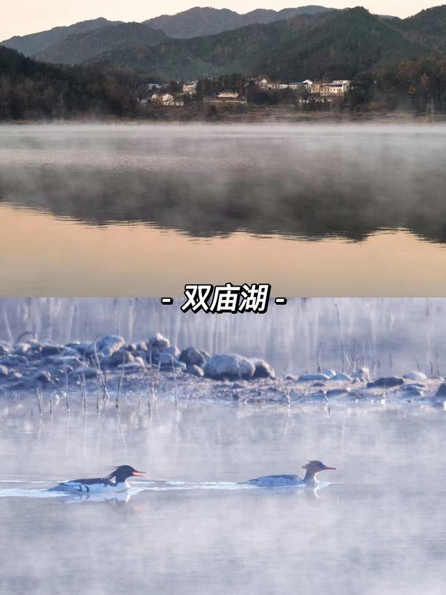 合肥周边哪些城市适合自驾游（合肥荐玩合肥周边适合周末自驾的8个神仙地）(7)