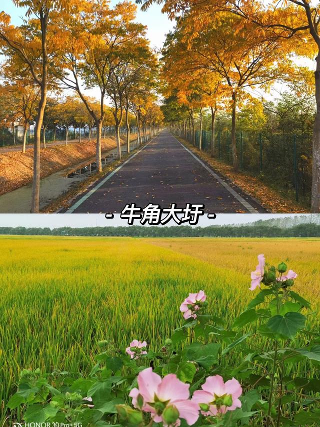 合肥周边哪些城市适合自驾游（合肥荐玩合肥周边适合周末自驾的8个神仙地）(2)
