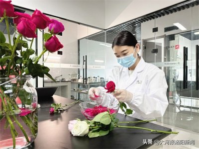 ​洛阳用玫瑰做成的钻石即将问世，1克拉定价13140元，50分定价5200元