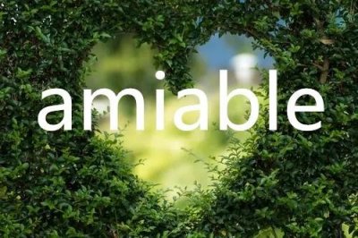 每日单词:amiable