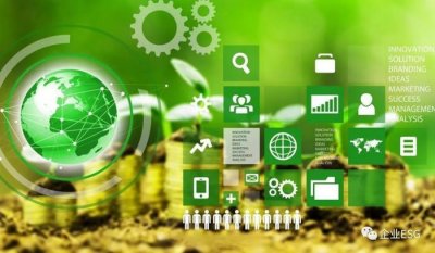 ​“两高”发布司法解释：碳数据造假最高可获刑十年