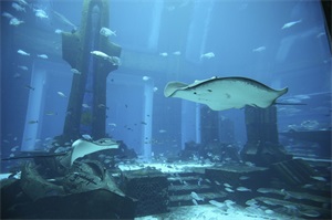 海底两万里亚特兰蒂斯是否存在（亚特兰蒂斯真的存在吗）(图13)