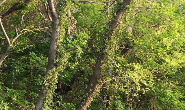 泉州这座山上的学校，除了8个食堂，还有这些鲜为人知的真相……