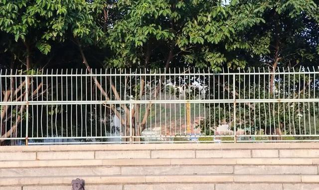 泉州这座山上的学校，除了8个食堂，还有这些鲜为人知的真相……