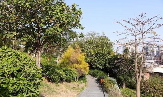 泉州这座山上的学校，除了8个食堂，还有这些鲜为人知的真相……