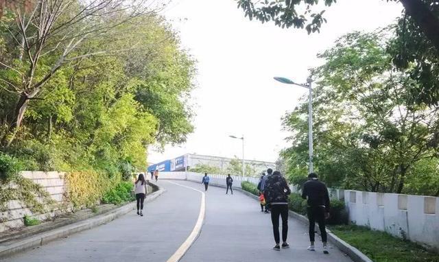 泉州这座山上的学校，除了8个食堂，还有这些鲜为人知的真相……