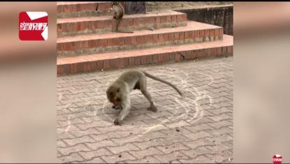 囧哥:认清自己!23岁小伙自称帅到想跳楼 帅到没朋友