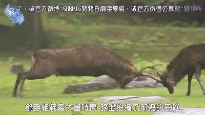 囧哥:认清自己!23岁小伙自称帅到想跳楼 帅到没朋友