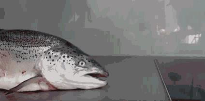 囧哥:认清自己!23岁小伙自称帅到想跳楼 帅到没朋友