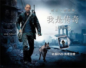 盘点十大经典丧尸电影(从50多部丧尸片里面挑出来的10部经典之作)(1)