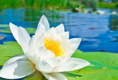 相见时珍惜彼此的经典话语不容易