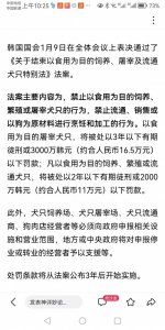 韩国国会通过禁止食用狗肉法案,引起人们强烈反响