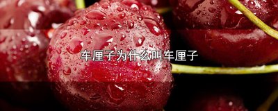 ​车厘子为什么叫车厘子