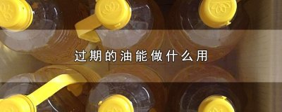 ​过期的油能做什么用