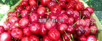 ​车厘子有4j吗