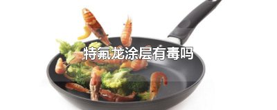 ​特氟龙涂层有毒吗