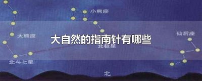 ​大自然的指南针有哪些