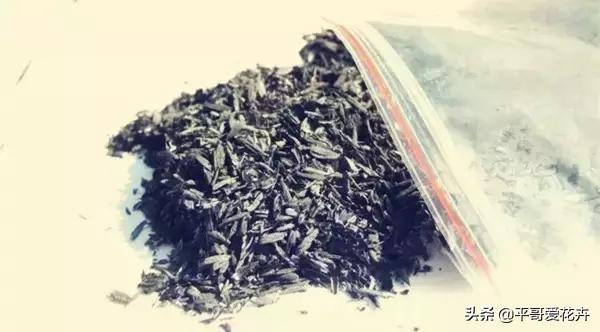 养花复合肥和磷钾肥哪个好（了解氮磷钾肥的用途）(11)