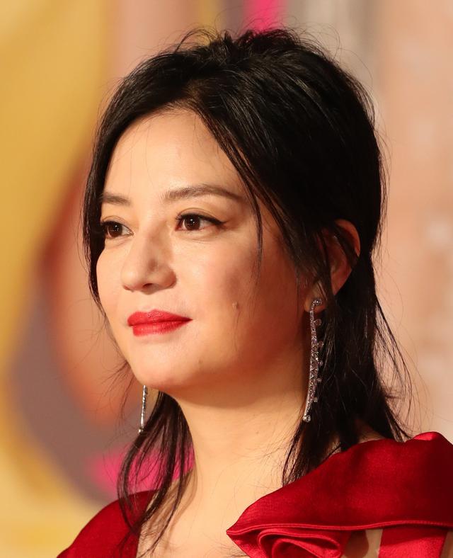 盘点赵薇的几大影视作品（讲述影视明星赵薇的故事）(5)