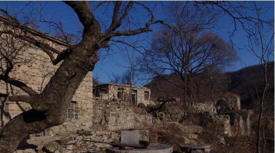 1987年陕西夜狸猫事变究竟，陕西农村一晚上怪僻消逝