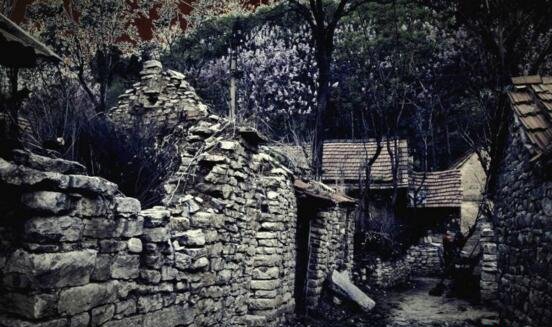 1987年陕西夜狸猫事变究竟，陕西农村一晚上怪僻消逝