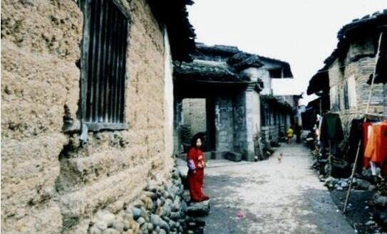 1987年陕西夜狸猫事变究竟，陕西农村一晚上怪僻消逝