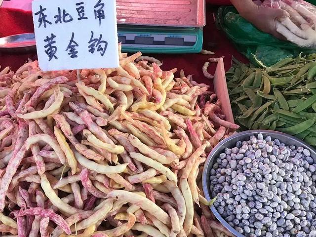 豆角的哪些品种好吃（俗称豆角中的珍品）(3)