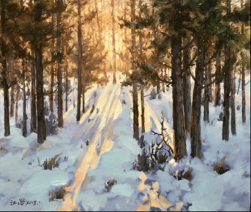 ​江浩生平 江浩集团简介