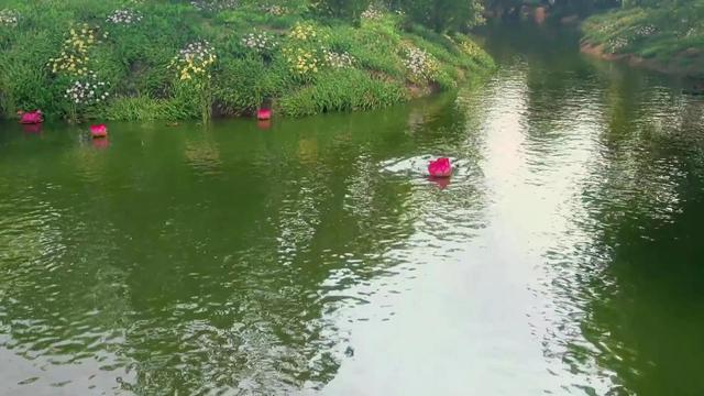 好看的锦衣卫题材国漫（少年锦衣卫画风绝美却突然没了后续）(31)