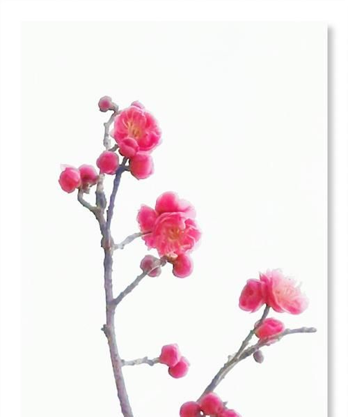 张爱玲说人生三大恨，《红楼梦》未完，高鹗版的续写真有这么差吗